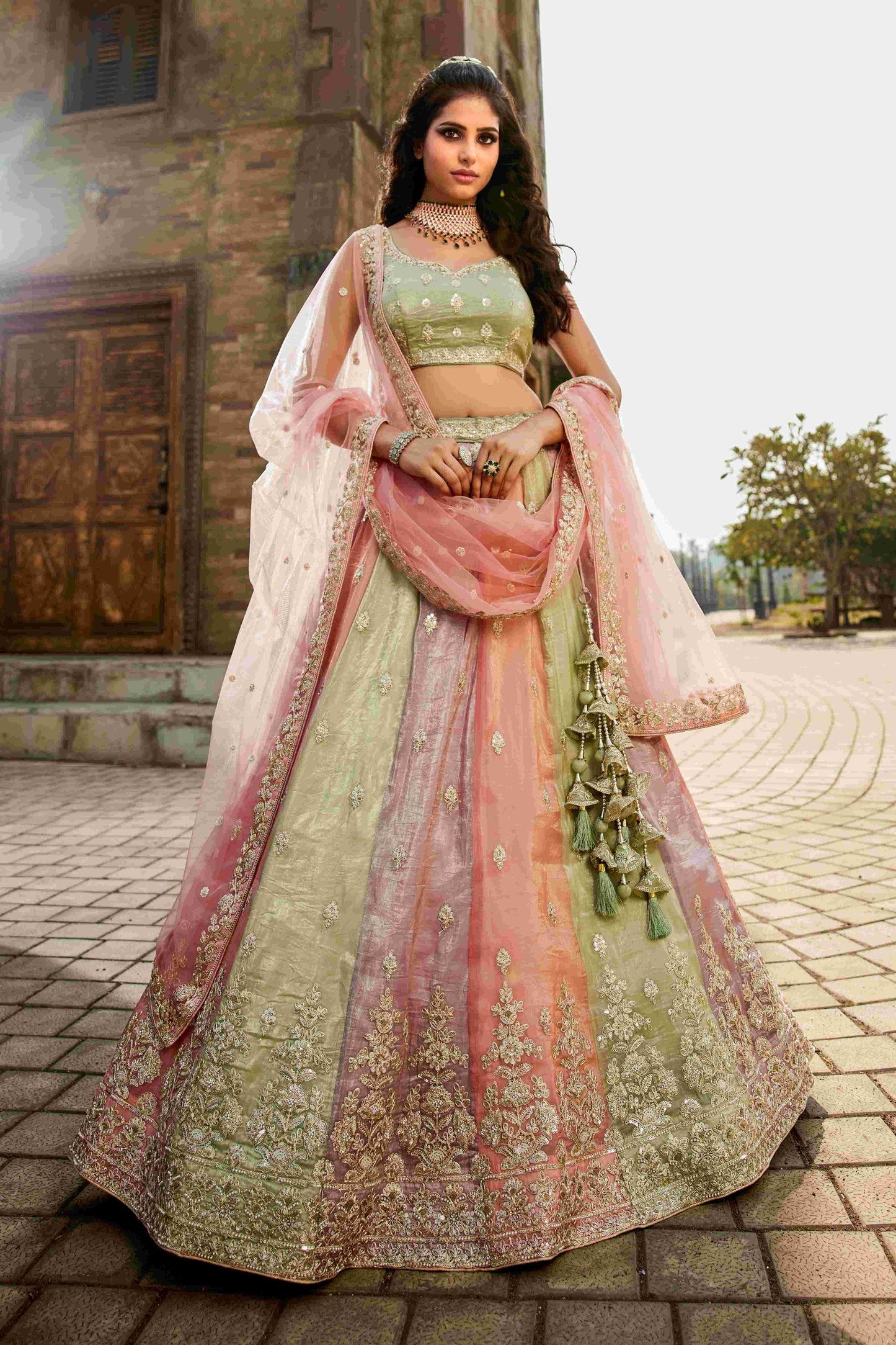 Tissue RIN197 2653 Lehengas Wholesale Designer Lehenga Fancy Lehenga Wedding Lehenga