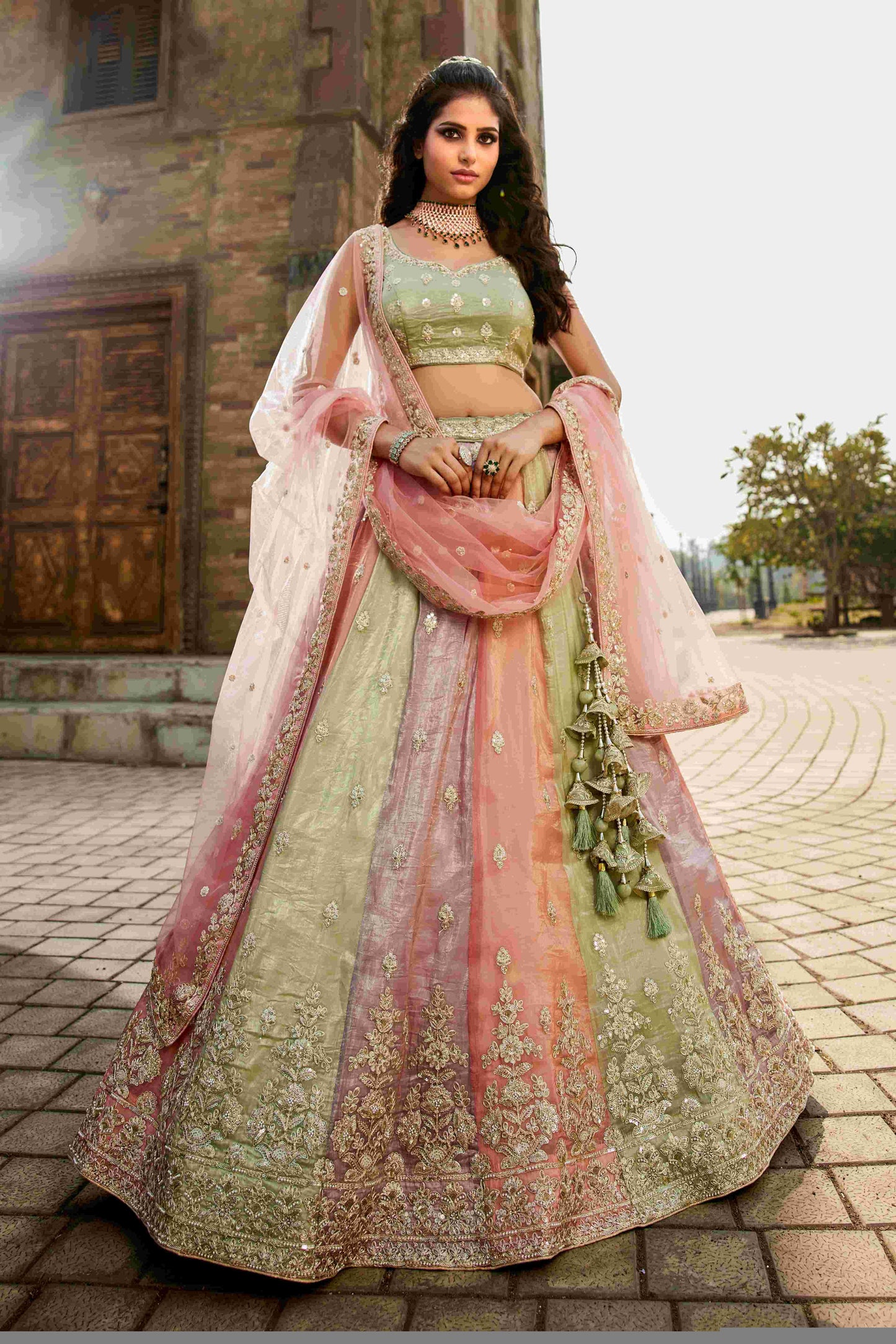 Tissue RIN197 2653 Lehengas Wholesale Designer Lehenga Fancy Lehenga Wedding Lehenga