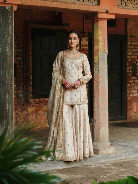 Silk Suits & Dresses Wholesale Ladies Suits Embroidery Suits Palazzo Suit Punjabi Suit Bridal Suits