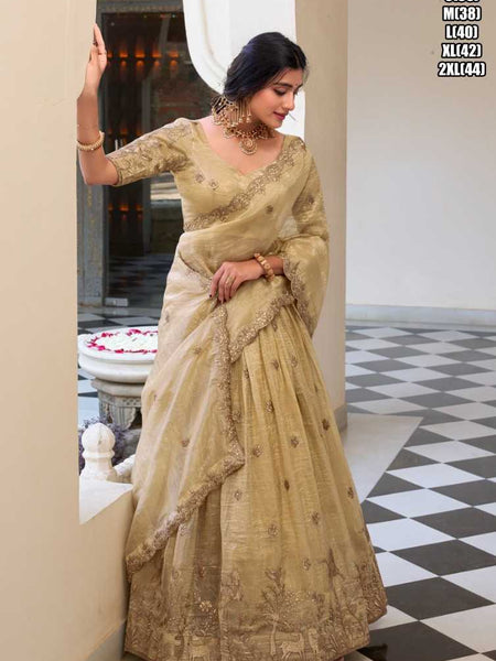 Soft Gold Crush RIN197 Heenal Lehengas Wedding Collections Festive Collections Wholesale Designer Lehenga Designer Lehenga Choli After-Party Outfits